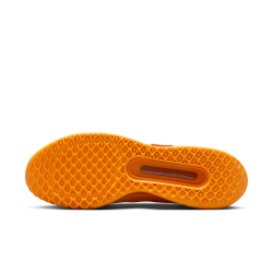 Мужские кроссовки теннисные Nike Zoom Court Pro HC - sundial/white/monarch