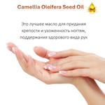 Масло камелии / Camellia Oleifera Seed Oil