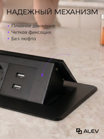 Горизонтальная двойная розетка + 2 USB, черная