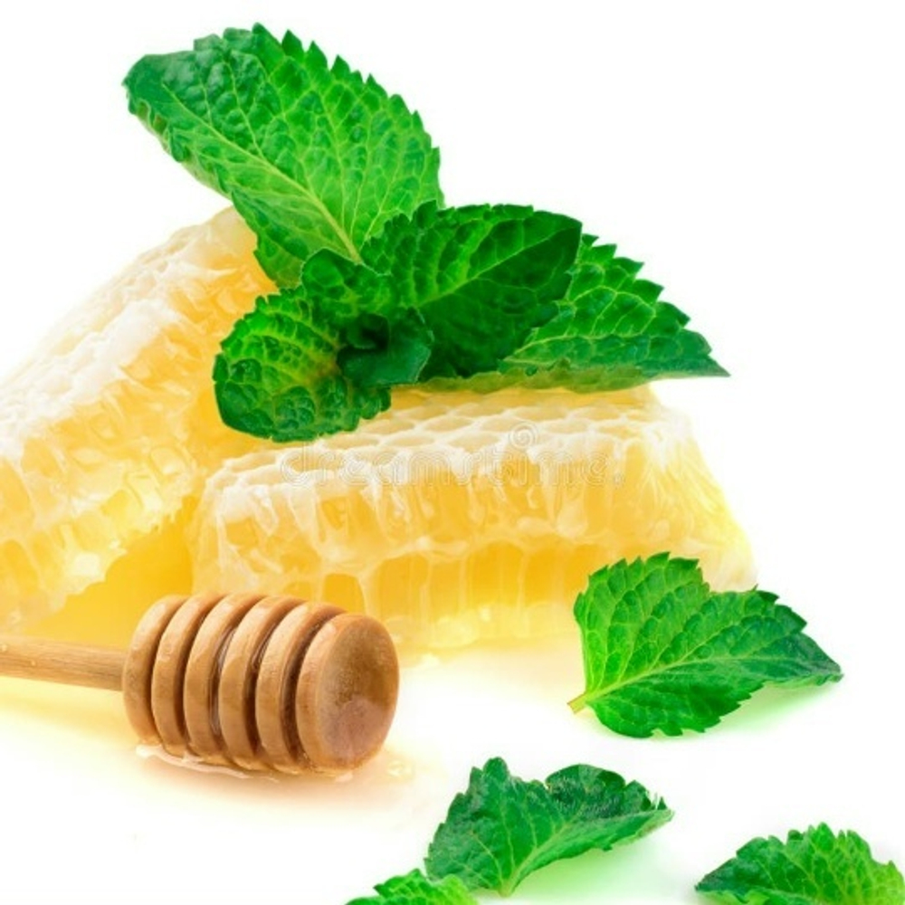 Мята Медовая