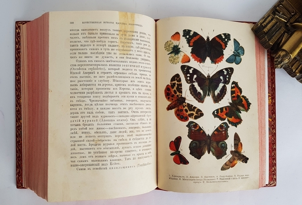 "Иллюстрированный Мир Животных". Проф. В.Маршалль. 1914 г.