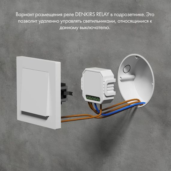 Двухканальное Wi-Fi реле-выключатель Denkirs 2x1150Вт/2x150Вт для LED RL1002-SM/1