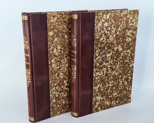 "Сочинения И.С.Никитина. В двух томах". Иван Никитин. 1908 г.