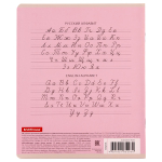 Тетрадь школьная А5 12л косая линия "Классика" (Erich Krause)