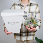 Набор для создания флорариума с суккулентами Сфера