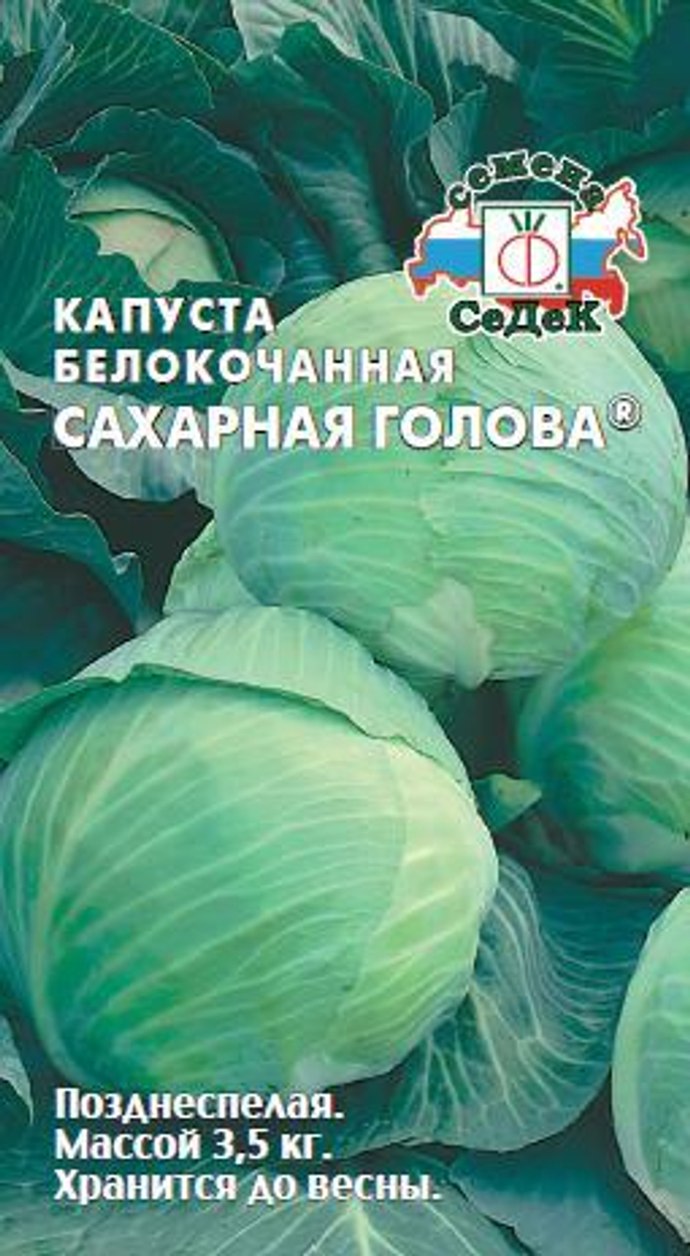 Капуста б/к Сахарная голова Седек