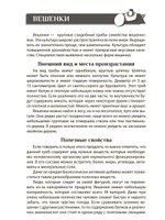 Выращивание грибов