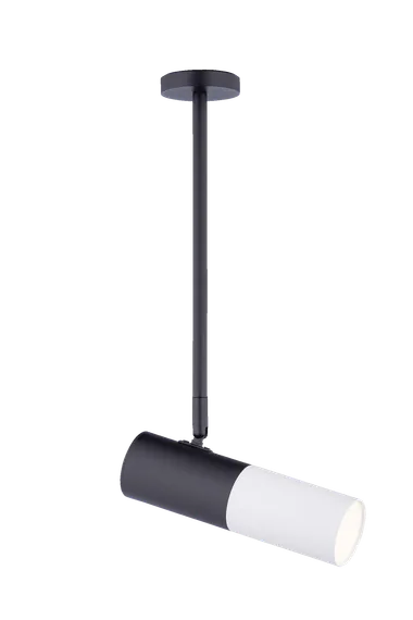 542RT SBK+SWT (1/20) Светильник