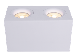 Светильник точечный потолочный Maytoni   C013CL-02W