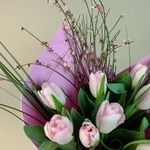 Розовые тюльпаны с ароматной генистой и зеленью