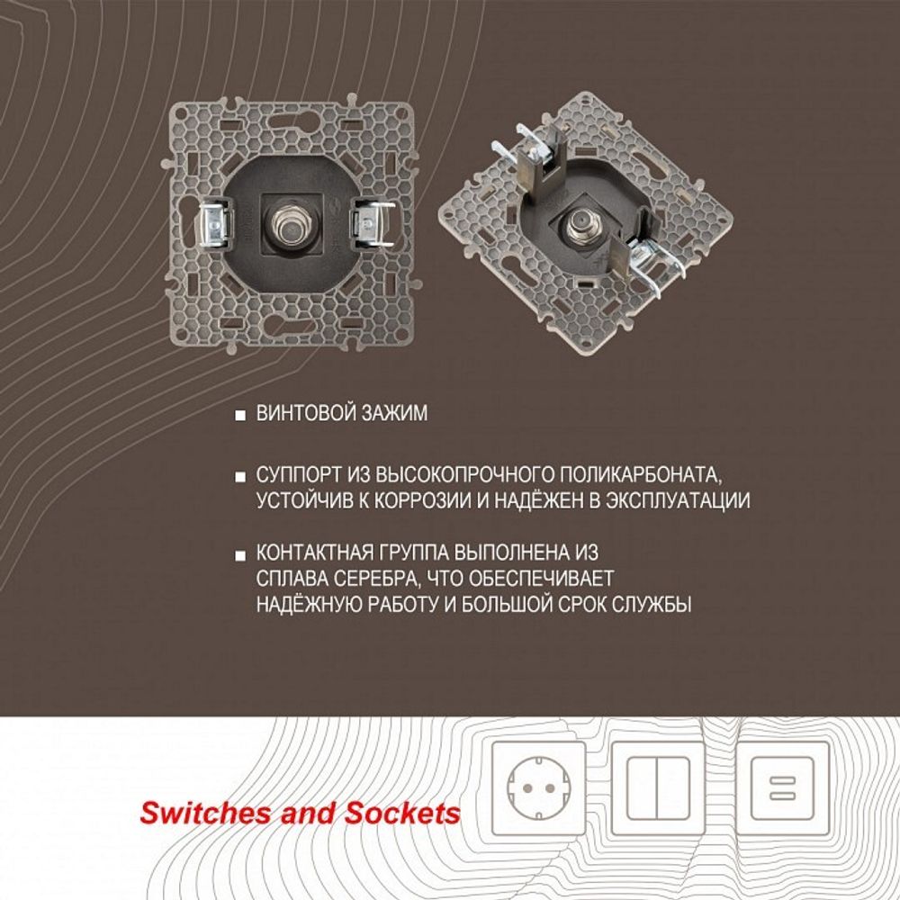 ТВ-розетка без рамки Arte Milano am-217 217.42-1.shampan