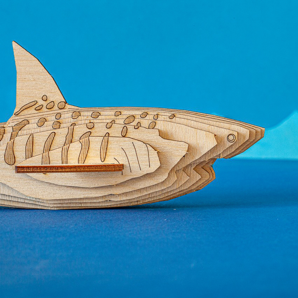 Деревянный конструктор "Акула" / 20 деталей. Купить деревянный конструктор. Сборная параметрическая модель животного.