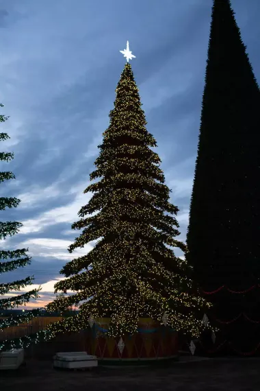 Уличная светодинамическая елка Таежная Премиум зеленая 19 м., ствольная, ПВХ, Green Trees (GT19TAPVCLED)