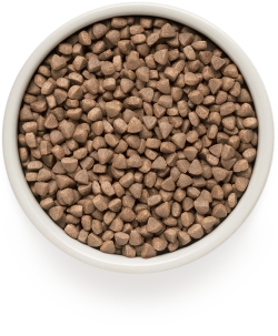 Grandorf White Fish & Turkey, Skin & Coat Care для взрослых кошек с чувствительной кожей и шерстью (Белая рыба с индейкой)