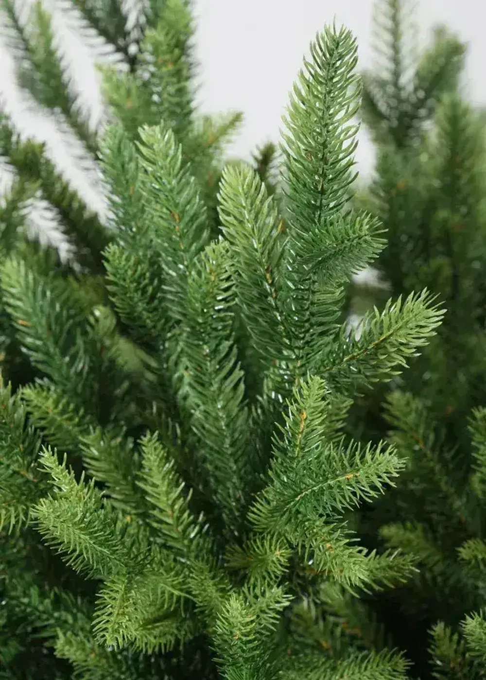 Ель искусственная «Сириус» (Литая хвоя) 185 см / 1,8 м