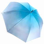 Зонт Fabretti UFD0033-25