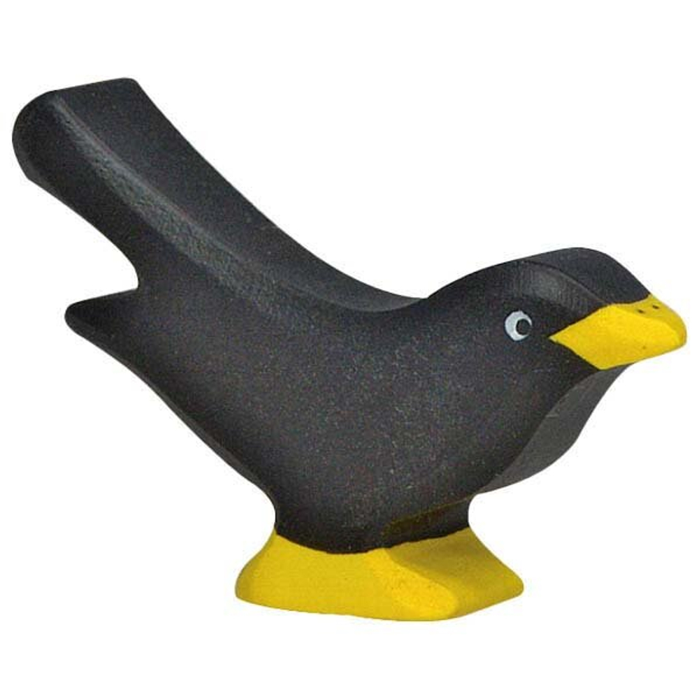 ЛЕСНОЙ ТИГР Чёрный дрозд