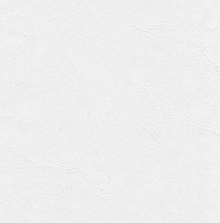 Искусственная кожа Остин вайт (Ostin white)