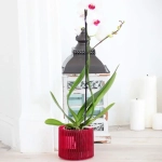 Кашпо для цветов пластиковое 1,8л d-14см «Шарм» синий