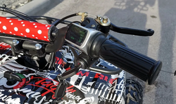 Квадроцикл PROMAX E-MINI 2.0 1000W