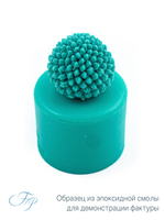 Молд Краспедия