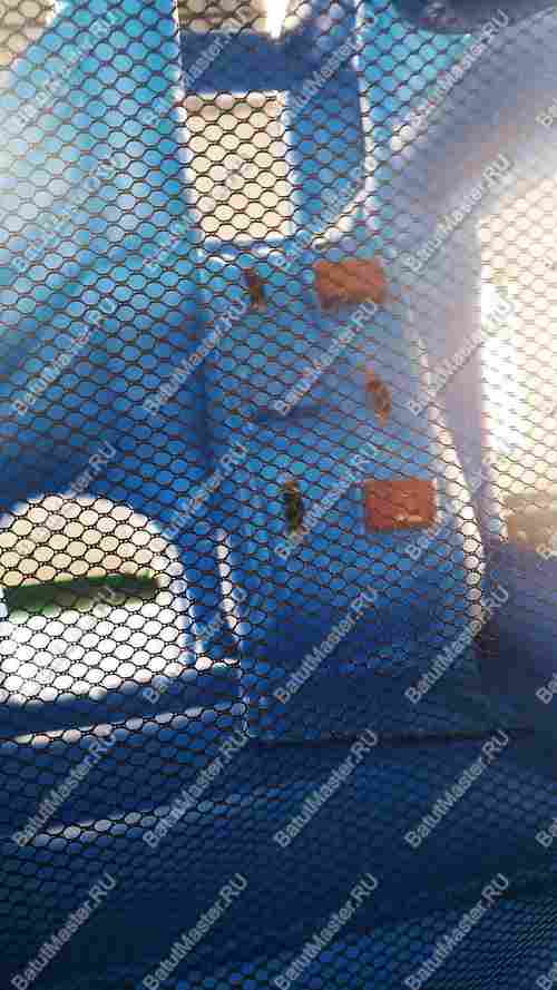 Детский надувной батут "Границы радости", синий, 3,5*3*3 м