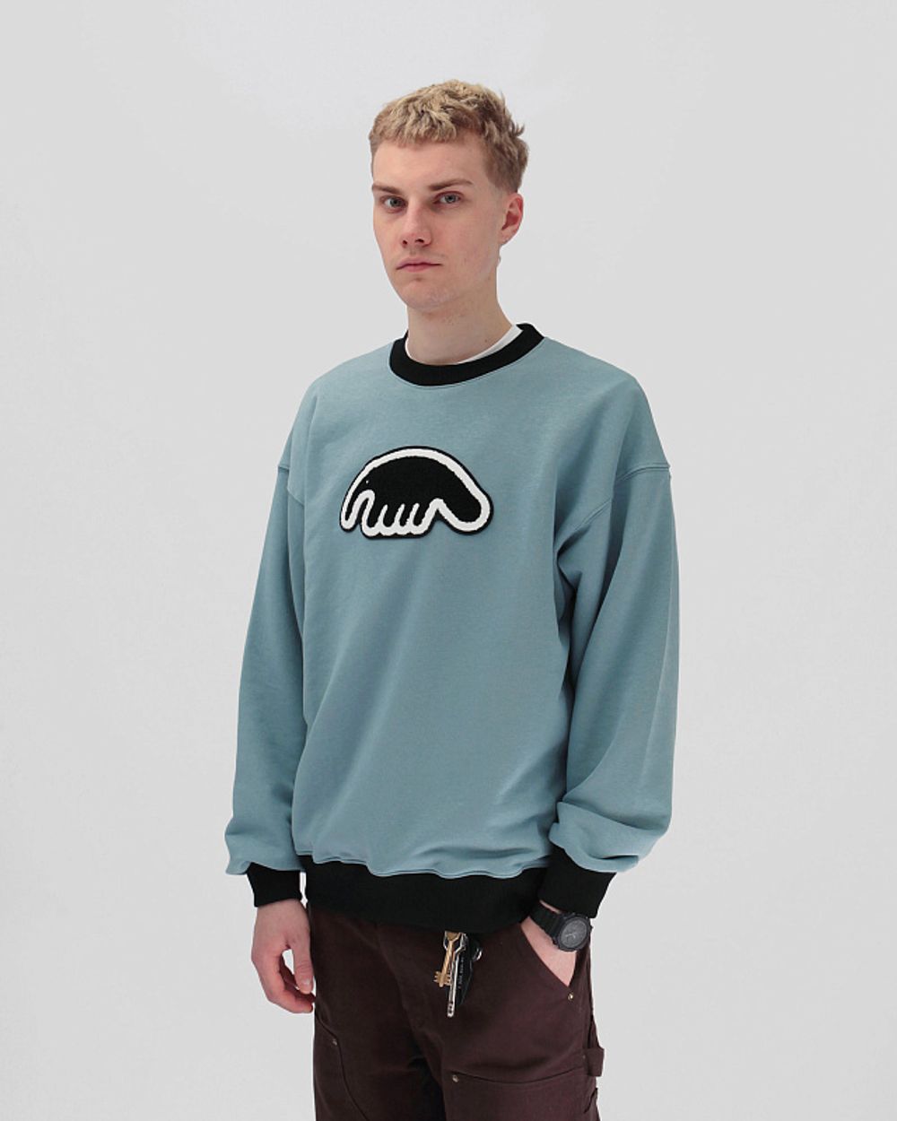 Толстовка Anteater Crewneck Biglogo Blue