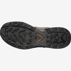 Salomon QUEST 4D GTX FORCES 2 EN Black
