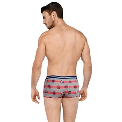 Мужские трусы хипсы серые с принтом Cool Forever Doreanse 1737