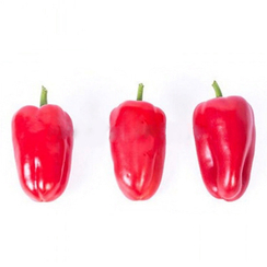 Ред Татин F1 семена перца сладкого (Rijk Zwaan / Райк Цваан)