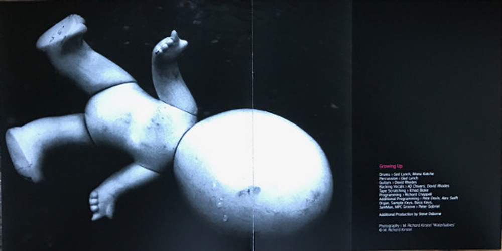 Peter Gabriel / Up (3LP)