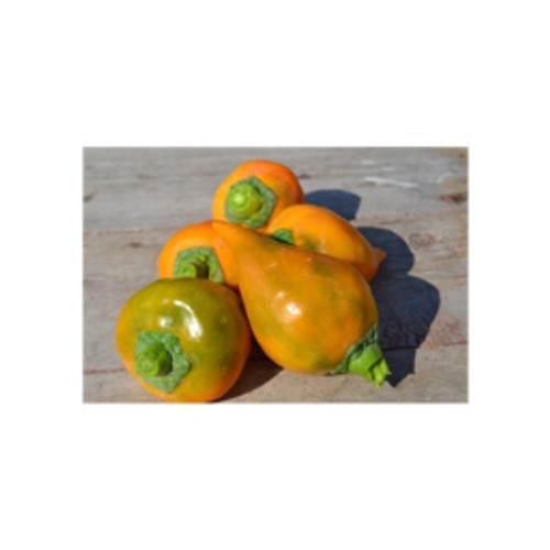Леся желтая / Lesya yellow перец сладкий