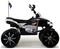Электроквадроцикл RIVERTOYS P444PP