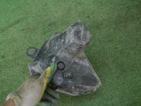 DSCN8077.JPG