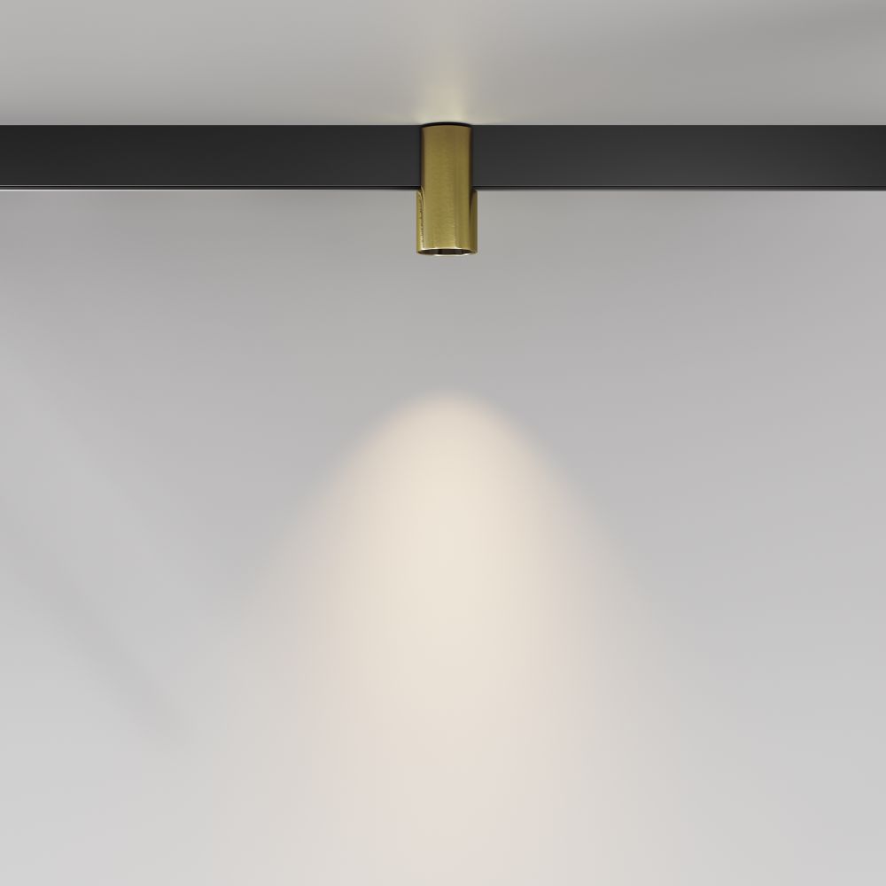 Трековый магнитный светодиодный светильник Maytoni   TR122-2-7W3K-BS