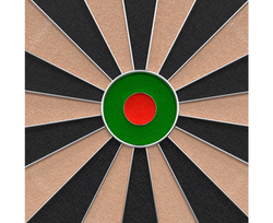 Мишень для дартса DFC SISAL PRO*
