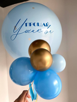 Шар с шаром внутри на девичник №1025