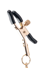 Золотистые зажимы для сосков PREMIUM NIPPLE CLAMPS WITH TASSLE (Цвет: золотистый)