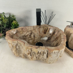 Раковина из окаменелого дерева OD-64691 49*37*15 0175