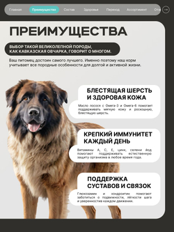 Корм для взрослых собак породы Кавказская овчарка, с кроликом, 12 кг, QUATTRO