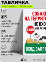 Табличка "Собаки на территории, не входить без разрешения" на дверь и забор, для двора, дома, подъезда, 40х30 см, Silver Plane x Айдентика Технолоджи