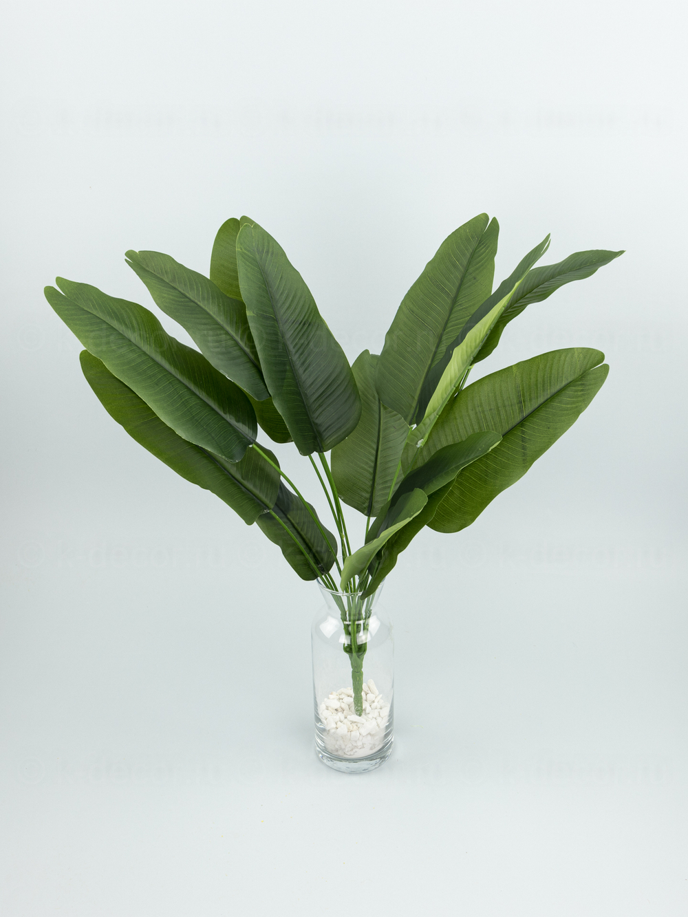 Куст банана Биг