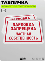 Табличка для частной территории "Проезд запрещен, частная собственность", на дом, для участка, организаций, предупреждающая, 40х30 см, Silver Plane x Айдентика Технолоджи