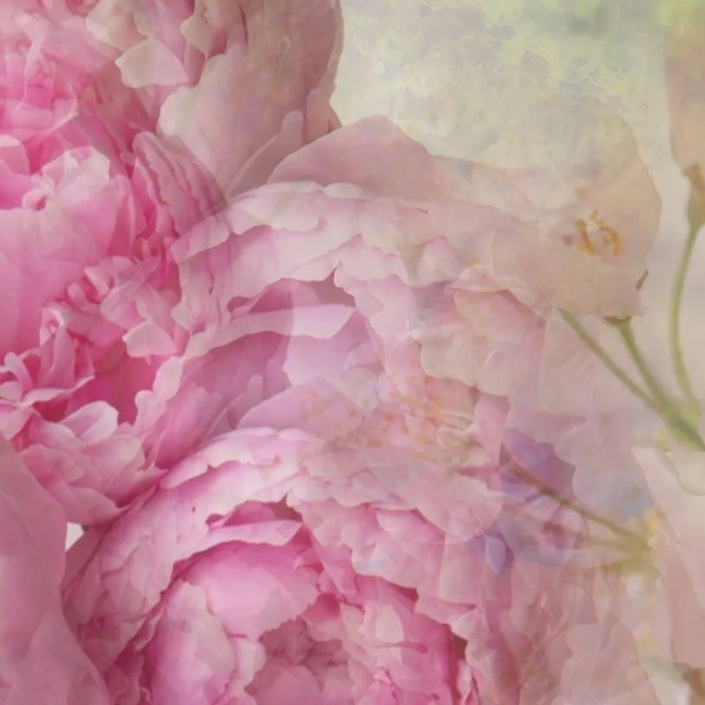 Dr. Vranjes Peonia Black Jasmine наполнитель (аромат Пион и черный жасмин)