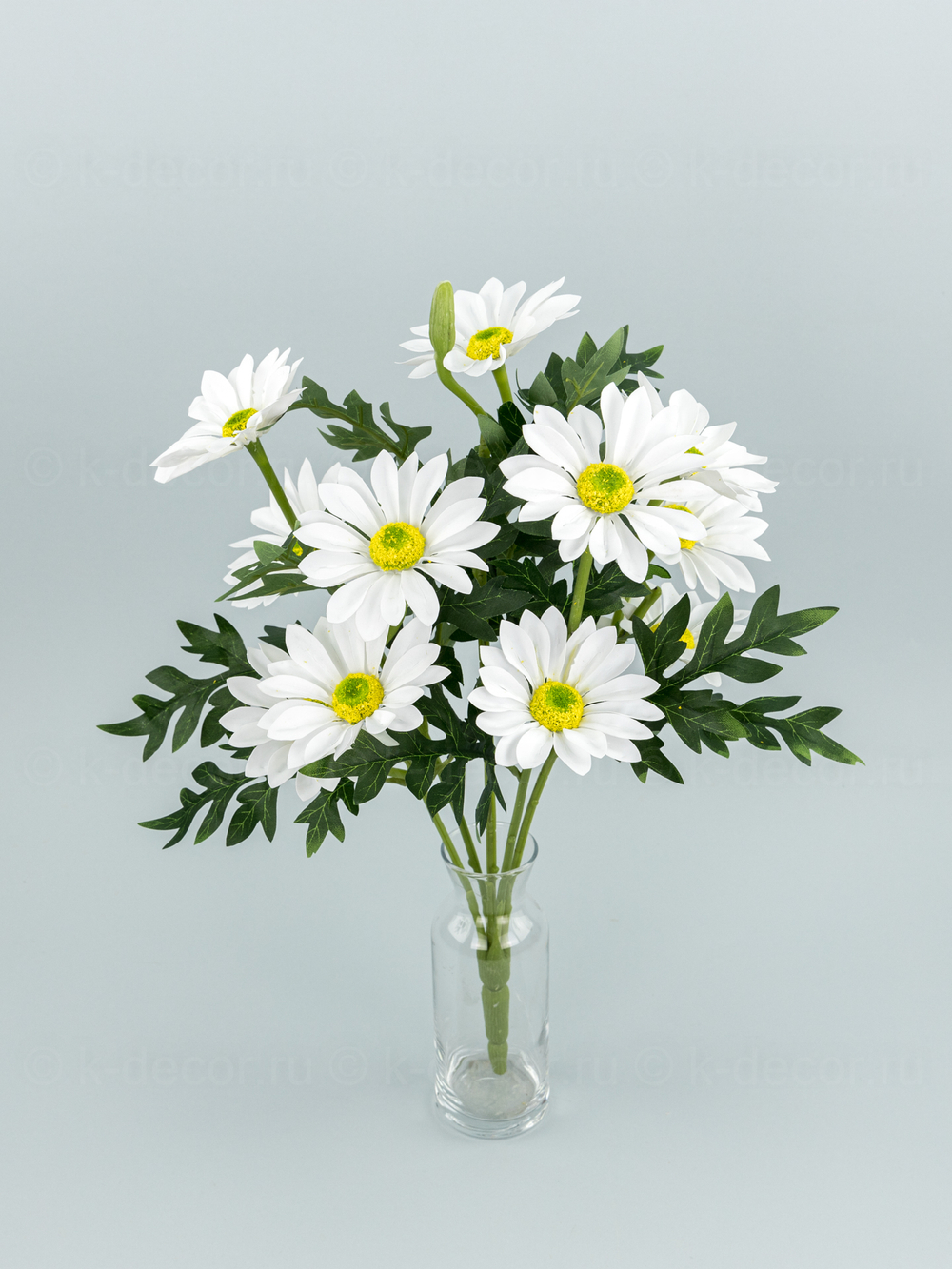 Букет Маргариток белых