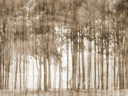 New Art, арт. RE153
