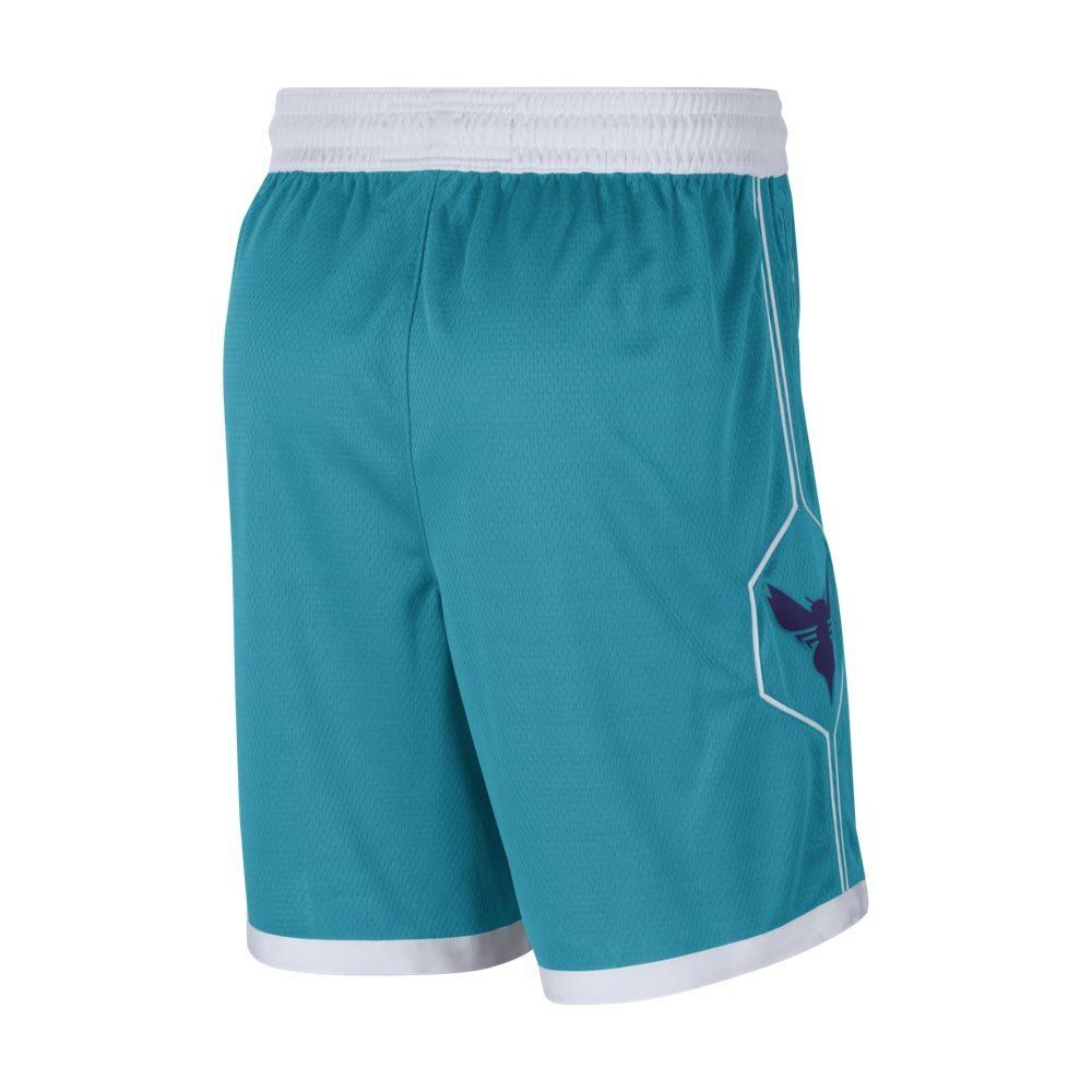 Баскетбольные шорты Nike Hornets Icon Edition 2020 Shorts Turquoise
