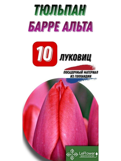 тюльпан барреальта10луковиц