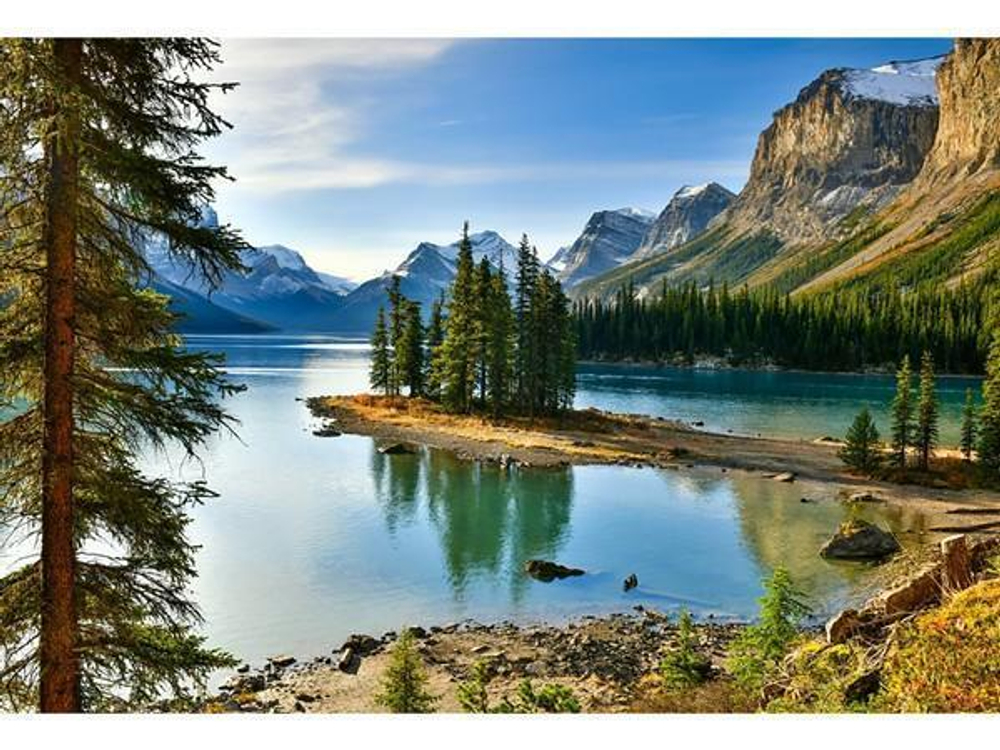 Картина по номерам 40х50см "Хвойный лес и озеро с горами" (Арт. ХК-6234)