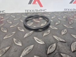 О-кольцо 095-1619